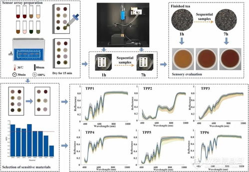 跨界融合 從紅茶發酵機理到計算機網絡技術的創新啟示